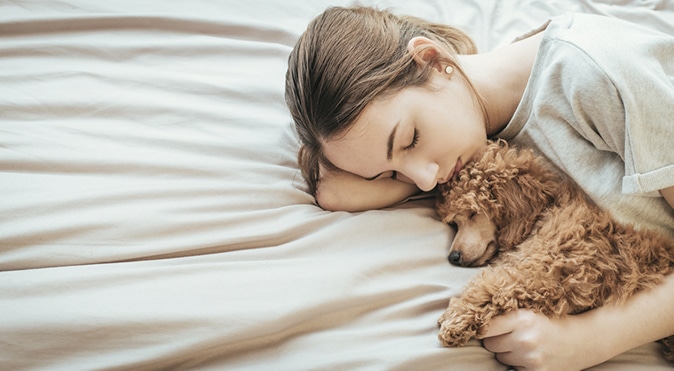 Young girl and small brown dog sleeping, Better Sleep Council
