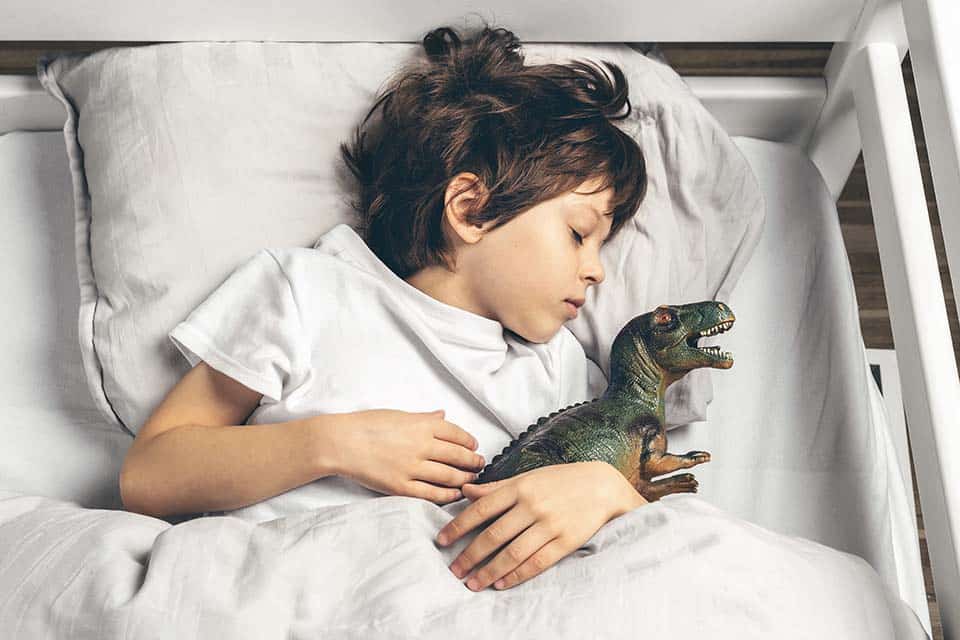 Cute 6 year old boy is sleeping in his bed with a toy dinosaur